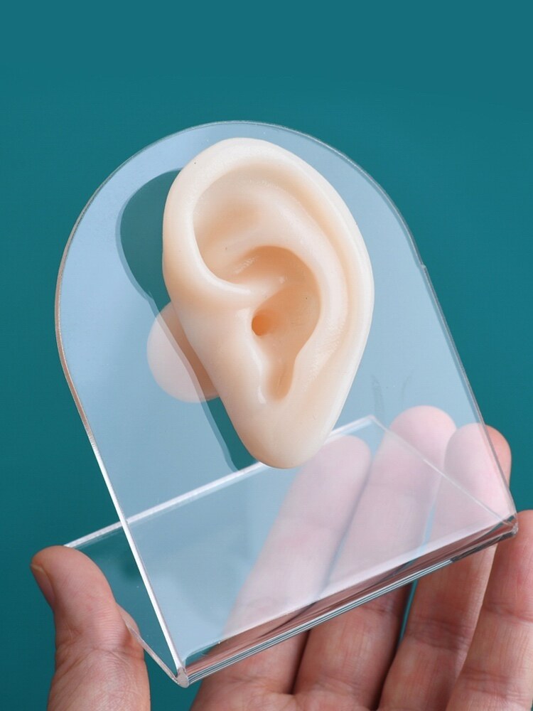 Silicone Ear-Picking Training Model