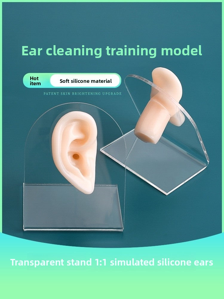 Silicone Ear-Picking Training Model