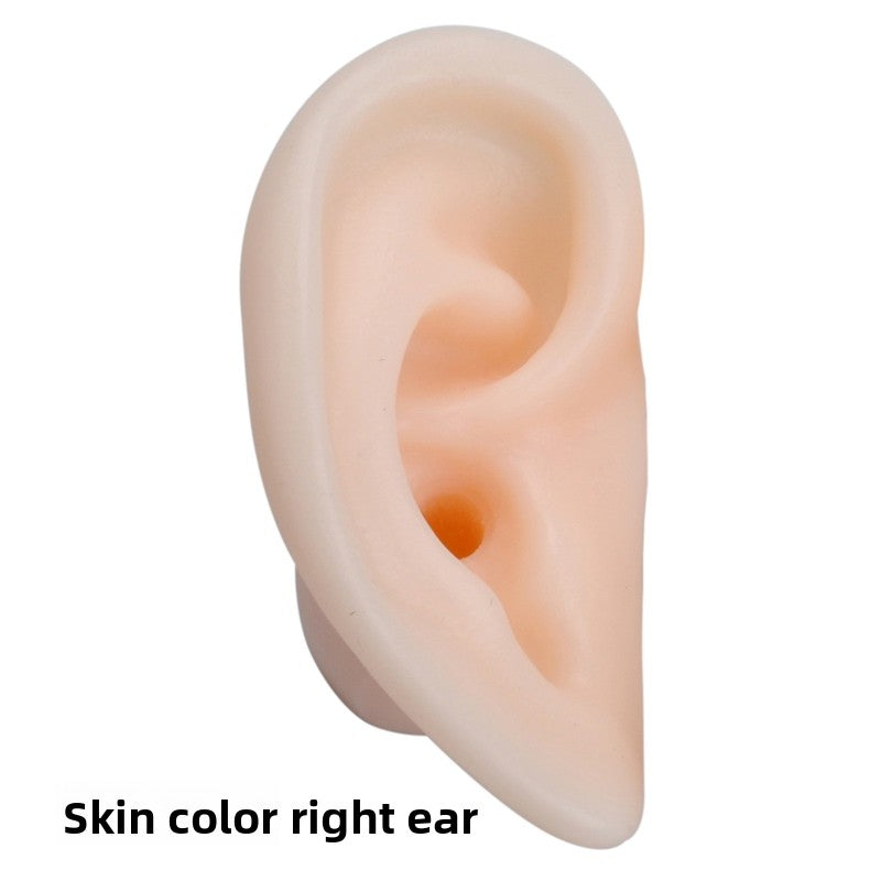 Silicone Ear-Picking Training Model