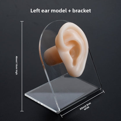 Silicone Ear-Picking Training Model