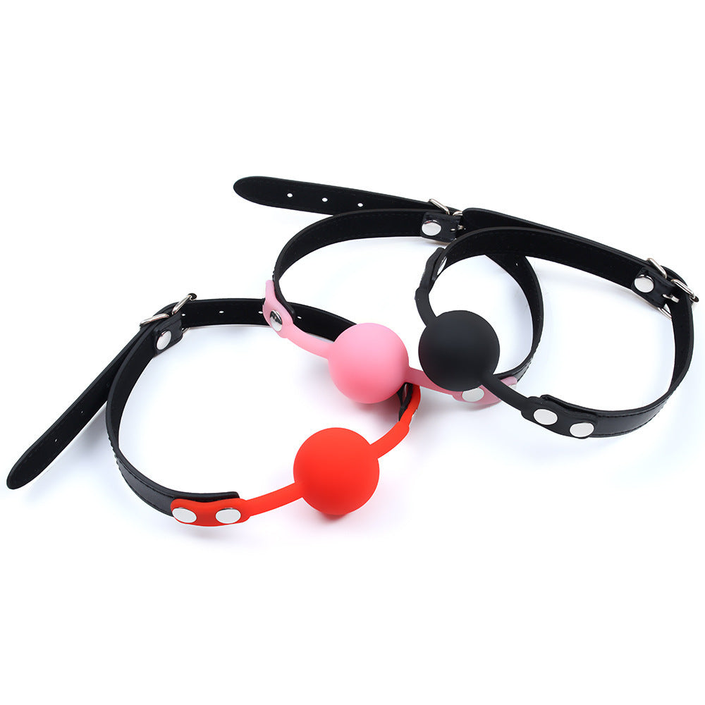 Silicone Mouth Ball Gag for Couples