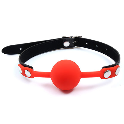 Silicone Mouth Ball Gag for Couples