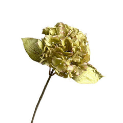 Autumn white