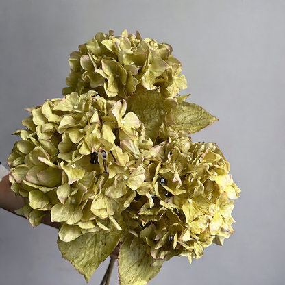 Silk Hydrangea Artificial Flowers