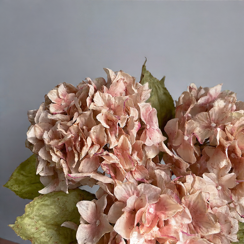 Silk Hydrangea Artificial Flowers