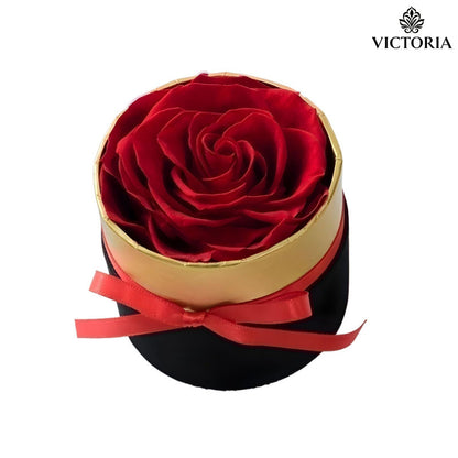 Silk Rose Gift Box Eternal Flowers