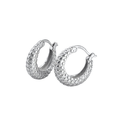 Silver Earrings