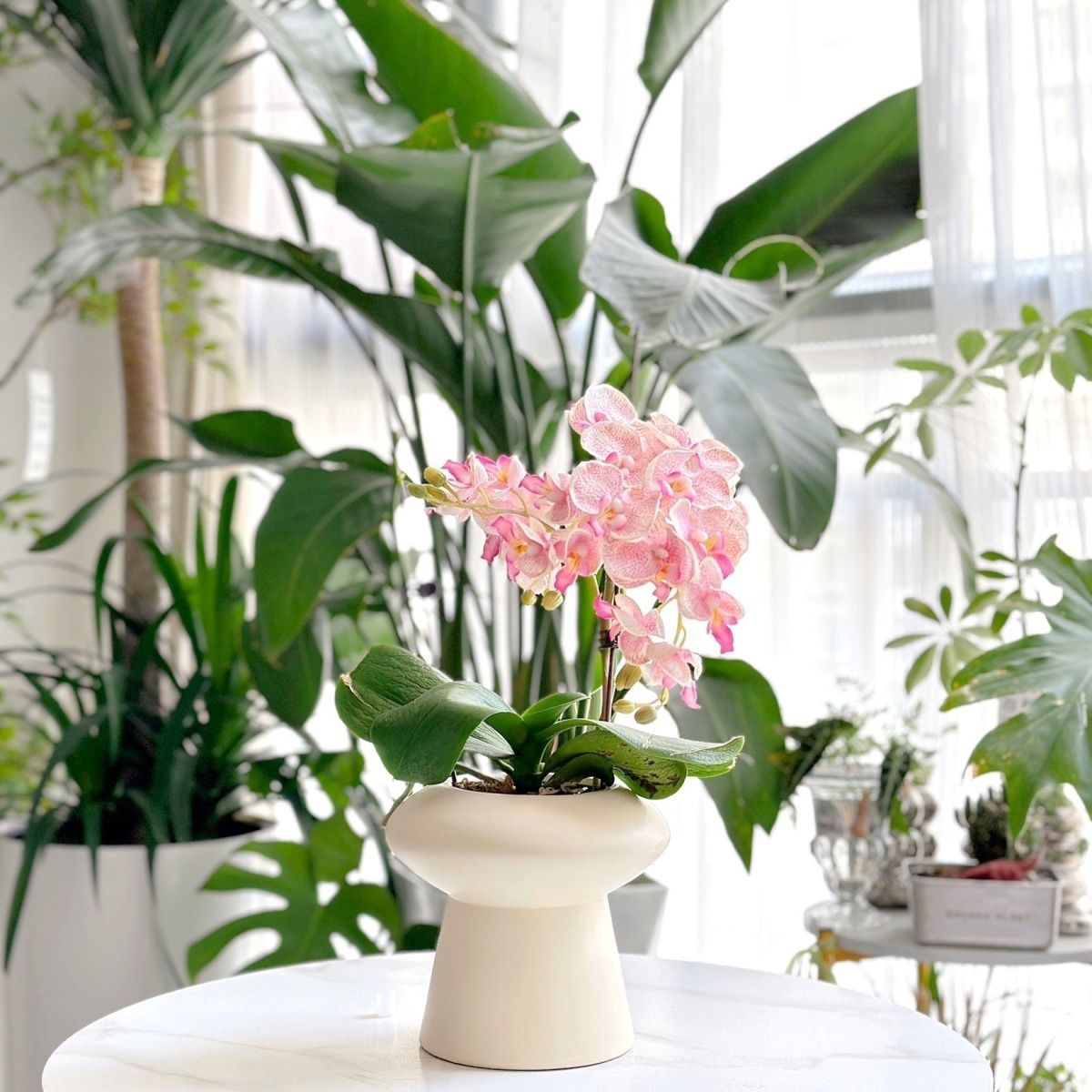 Simple Green Plant Flower Pot