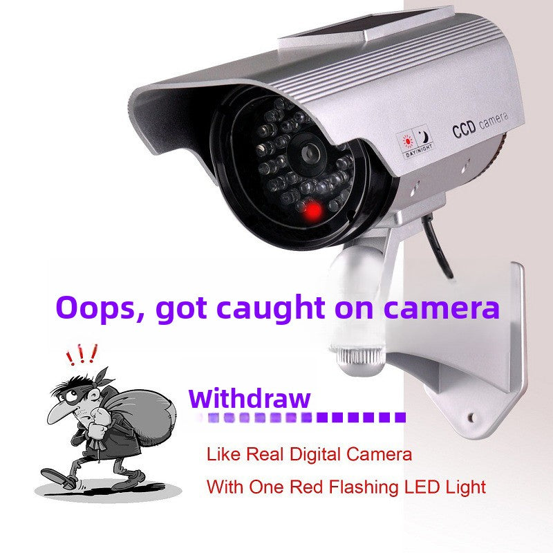 Simulated camera