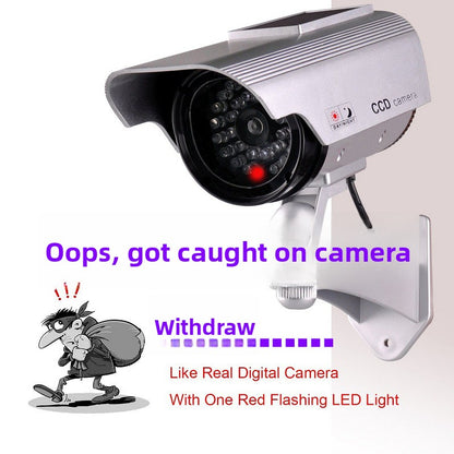 Simulated camera