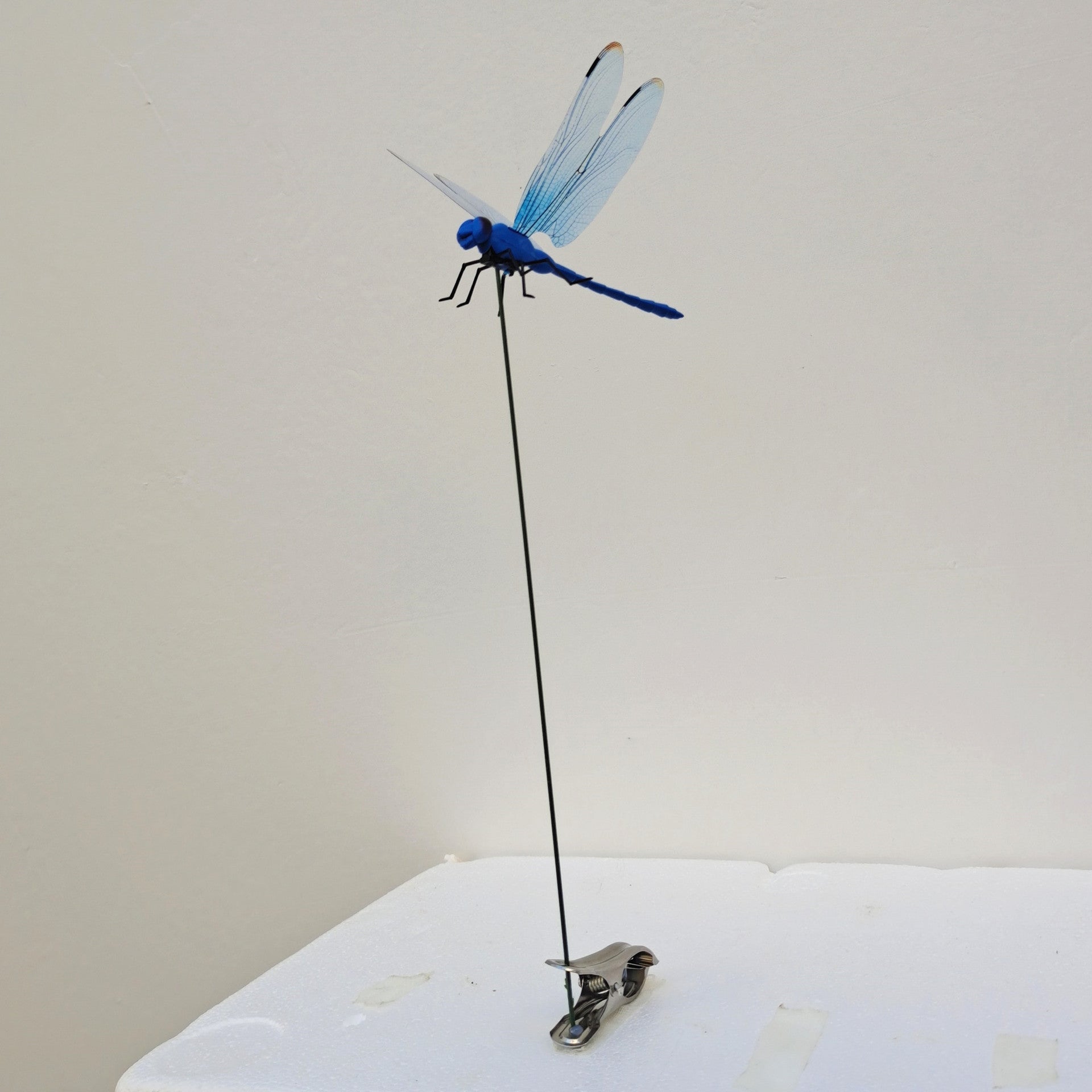 Simulation dragonfly