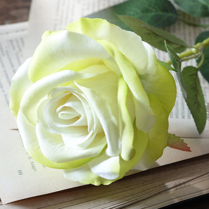 Simulation of flannel roses