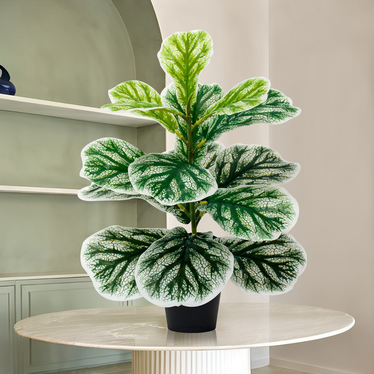 Simulation of green plant piano leaf Banyan