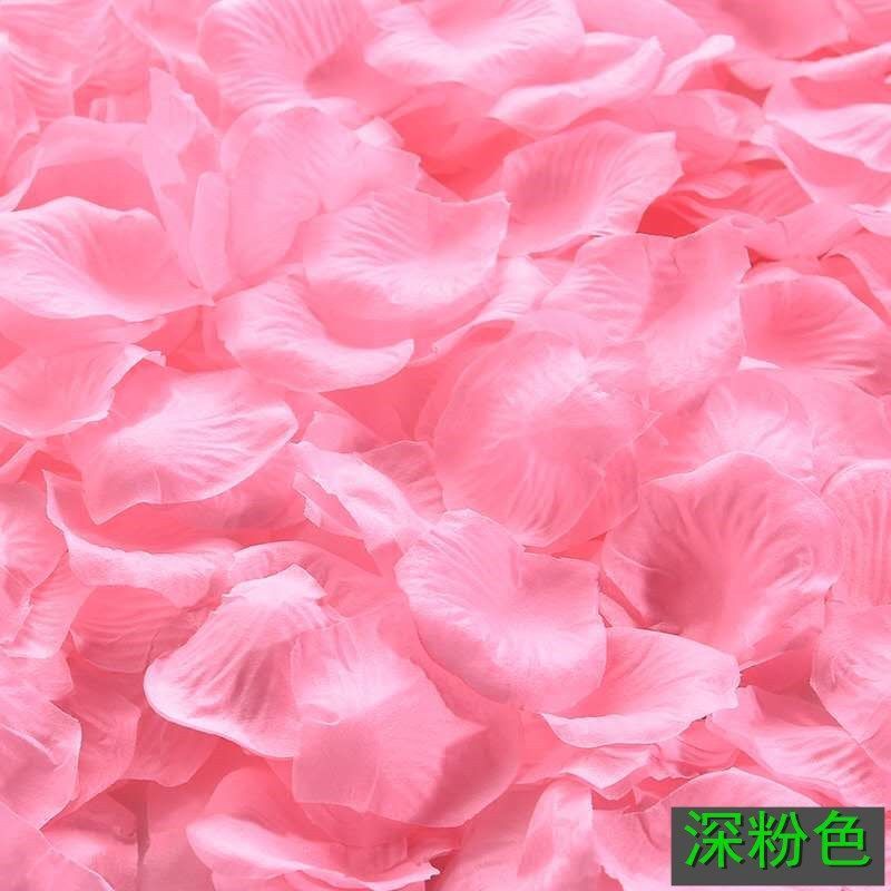 Simulation of rose petals