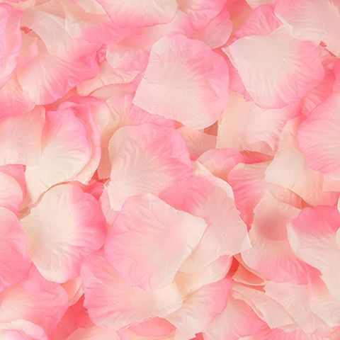 Simulation of rose petals