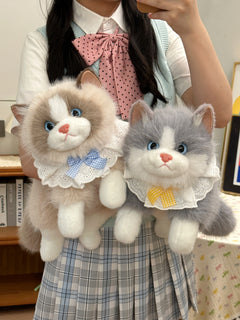 Brown Ragdoll