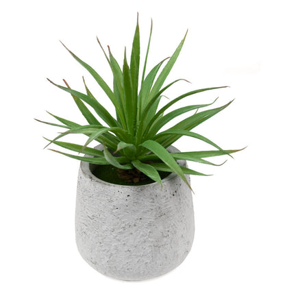 Simulation Succulent Plastic Plant Decoration