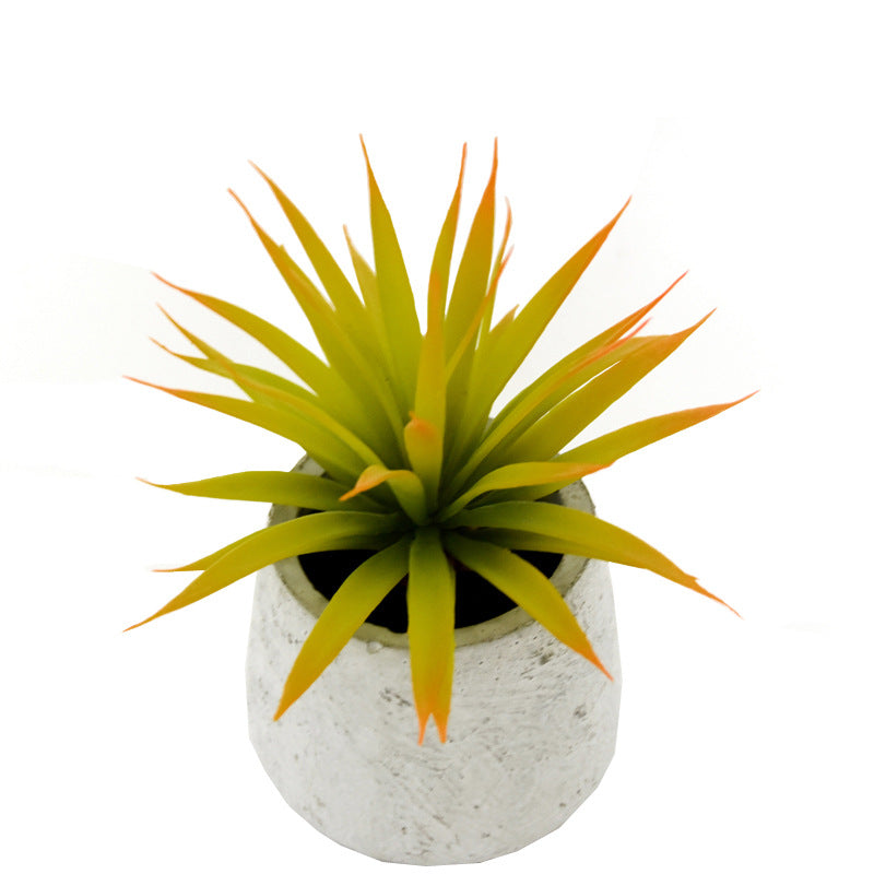 Simulation Succulent Plastic Plant Decoration