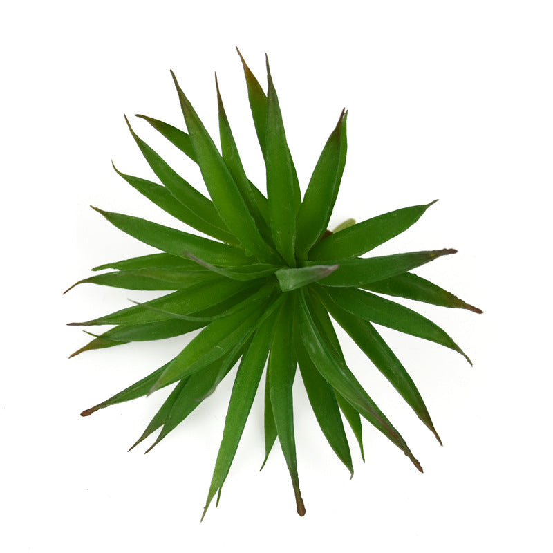 Simulation Succulent Plastic Plant Decoration