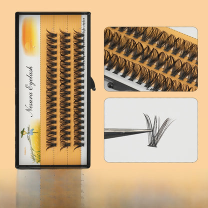 Single Cluster False Eyelashes