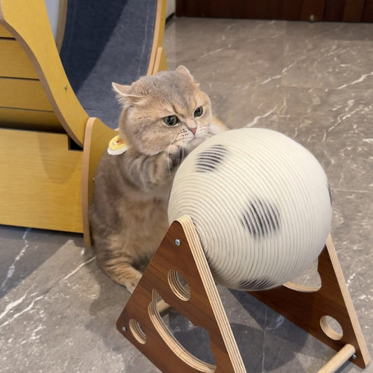 Sisal Pet Toy