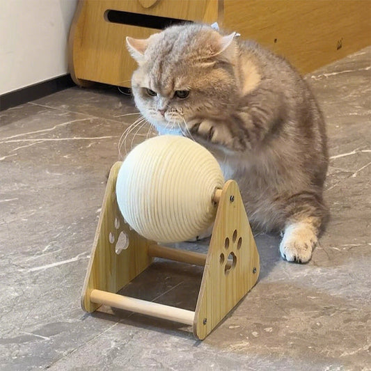 Sisal Pet Toy