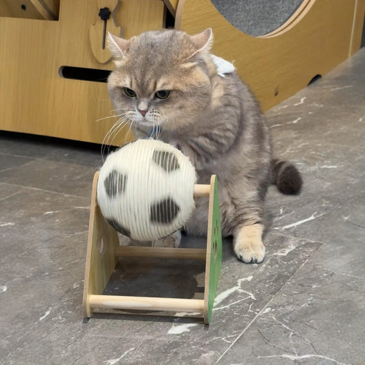 Sisal Pet Toy