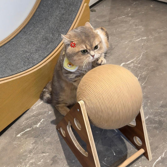 Sisal Pet Toy