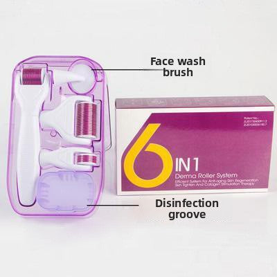 Six-in-One Facial Care Roller Micro-Needle Kit