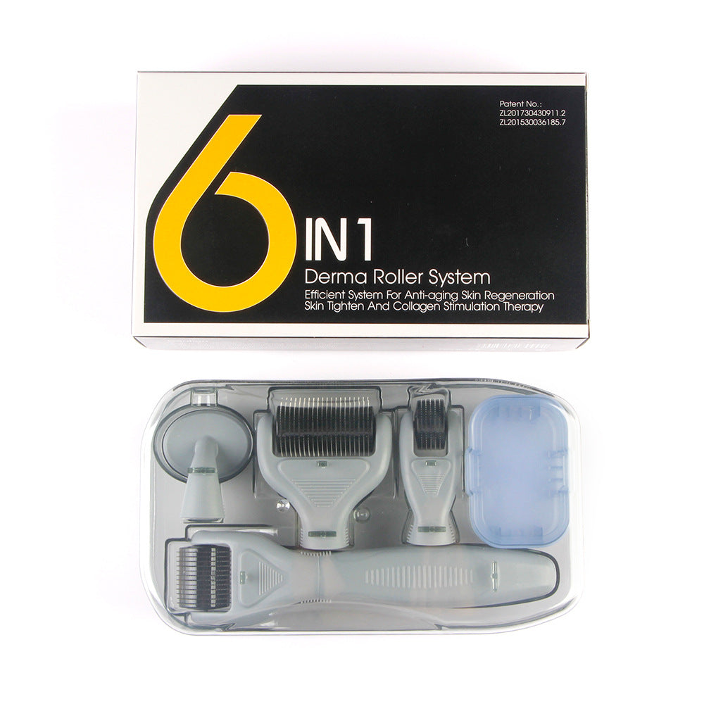 Six-in-One Facial Care Roller Micro-Needle Kit