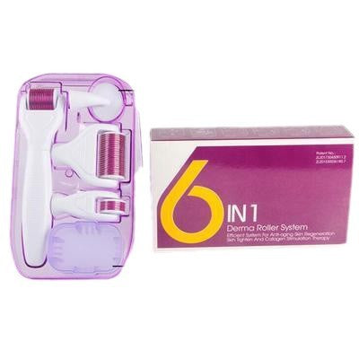 Six-in-One Facial Care Roller Micro-Needle Kit