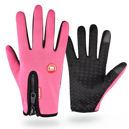 Ski Gloves