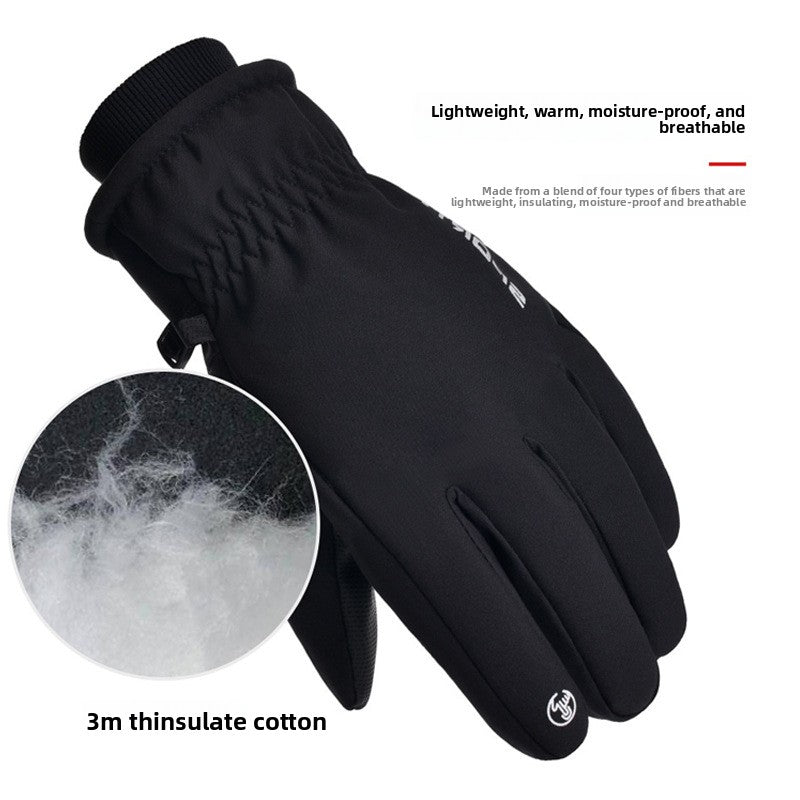 Ski Gloves
