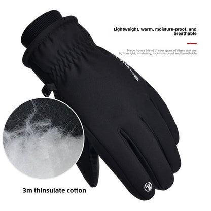 Ski Gloves