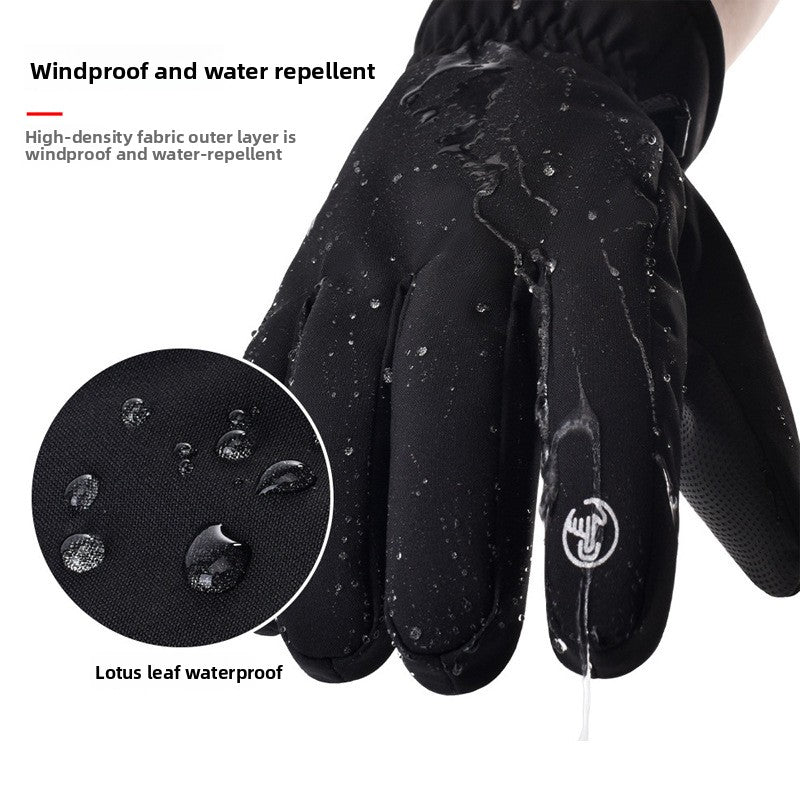 Ski Gloves