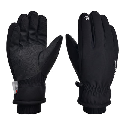 Ski Gloves