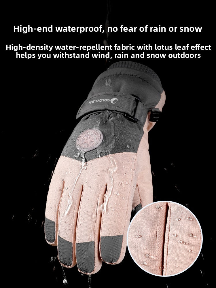 Ski Gloves