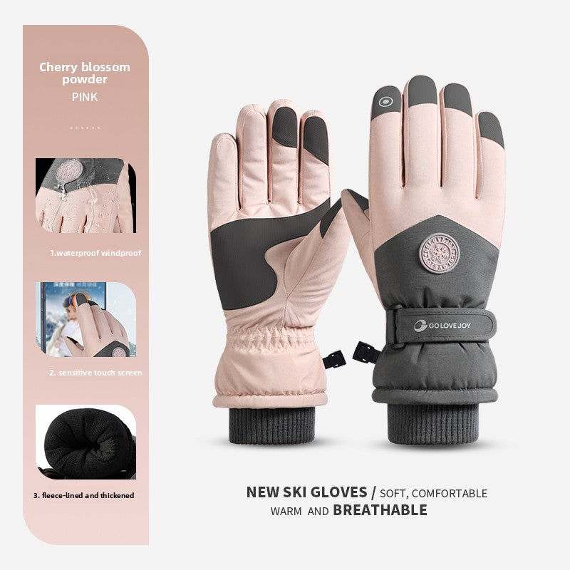 Ski Gloves