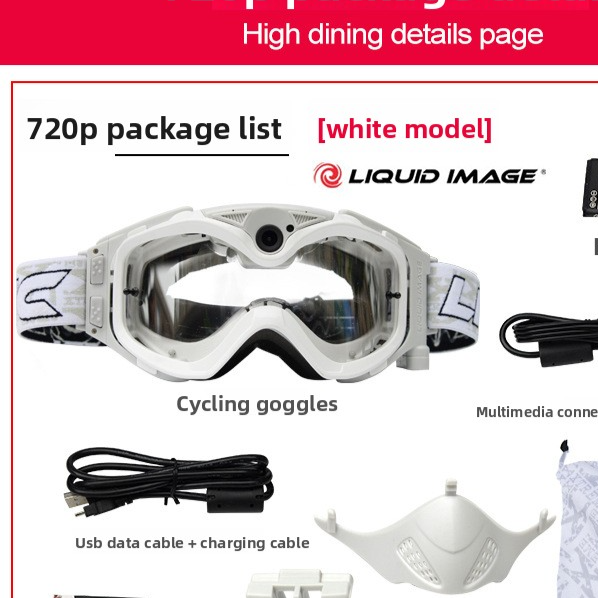 Ski Goggles