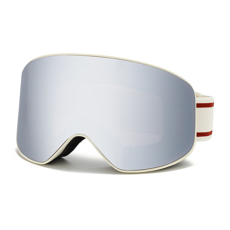 Ski Goggles
