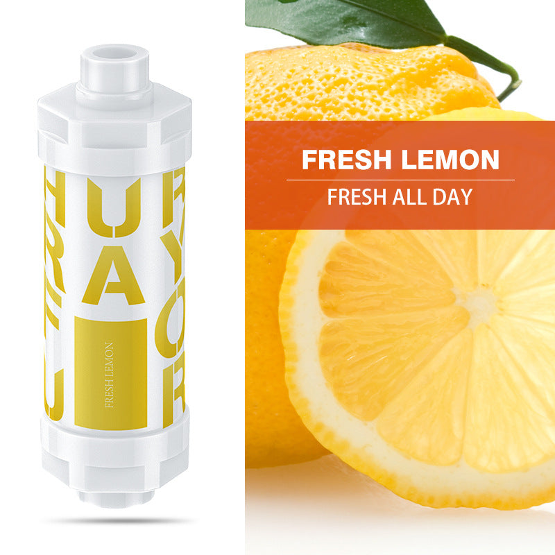 Skin care shower filter
