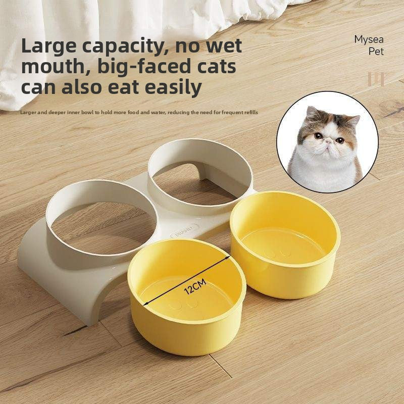 Slanted Dual Pet Food and Water Bowl