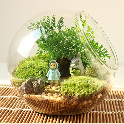 Slanted Glass Vase for DIY Terrarium