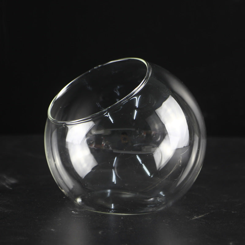 Slanted Glass Vase for DIY Terrarium