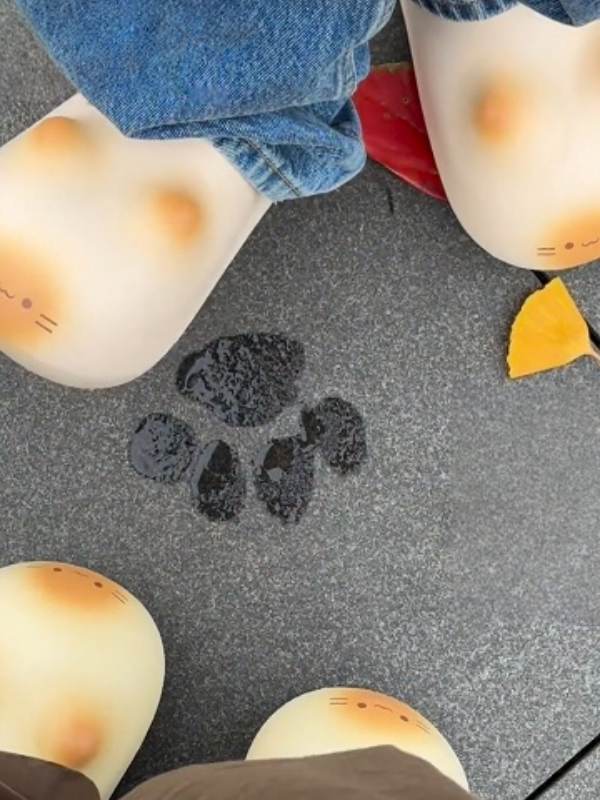 Slippers