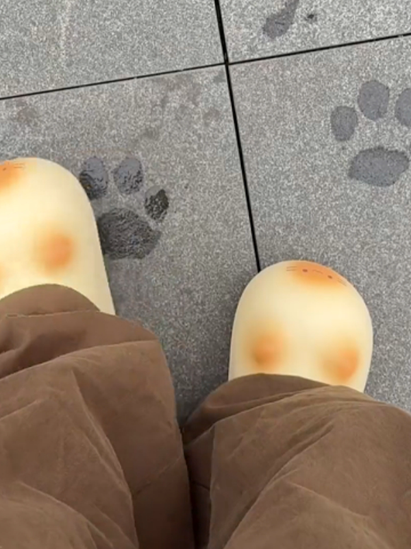 Slippers