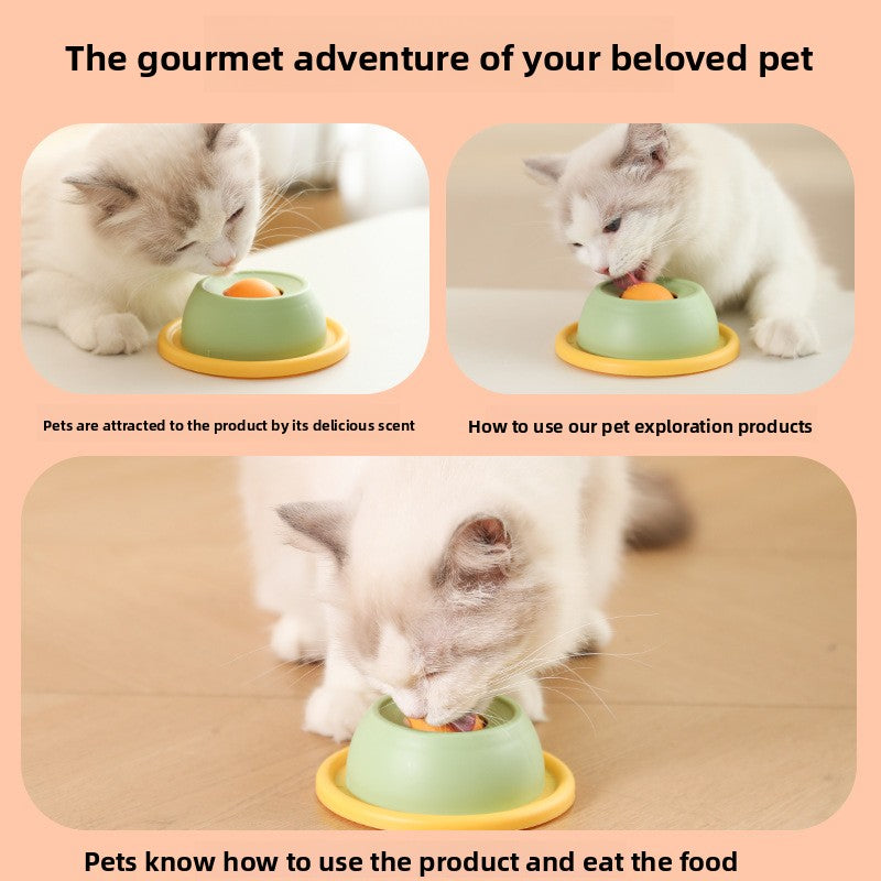 Slow Feeder Cat Bowl
