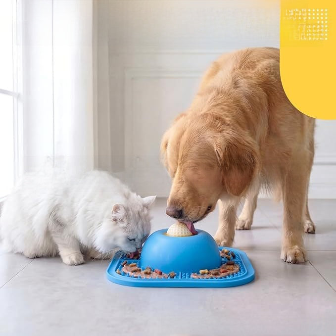 Slow Feeder Dog Bowl for Healthy Eating