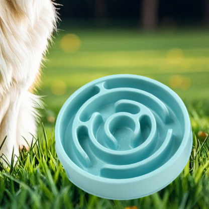 Slow Feeder Pet Bowl