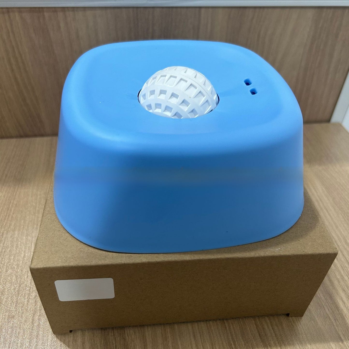 Slow-Feeding Dog Bowl